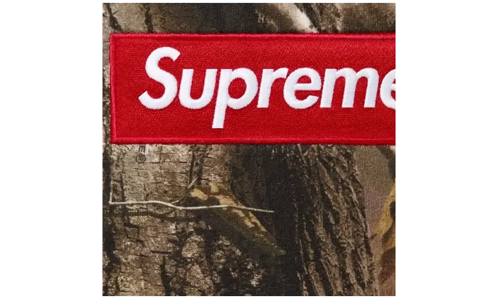 Supreme Hoodie Box Logo Forest Camo (FW25)